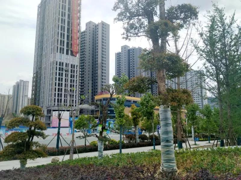 十堰房产最新楼盘价格,十堰房产最新楼盘价格概览，十堰房产最新楼盘价格概览及市场动态分析