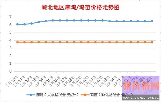 皖北麻鸡最新价格报价,皖北麻鸡最新价格报价及市场动态分析，皖北麻鸡最新价格报价与市场动态分析