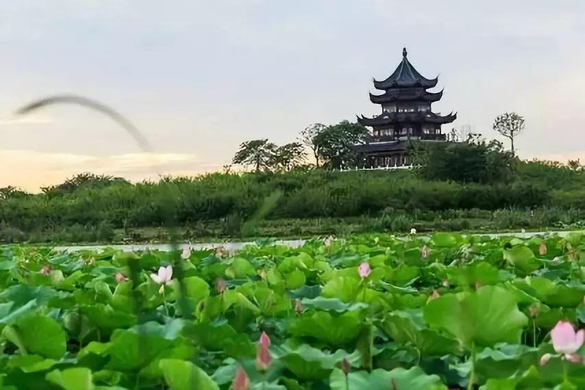 嗨秀直播下载最新版本,嗨秀直播，下载最新版本的全新体验，嗨秀直播下载最新版本，全新体验尽在指尖！