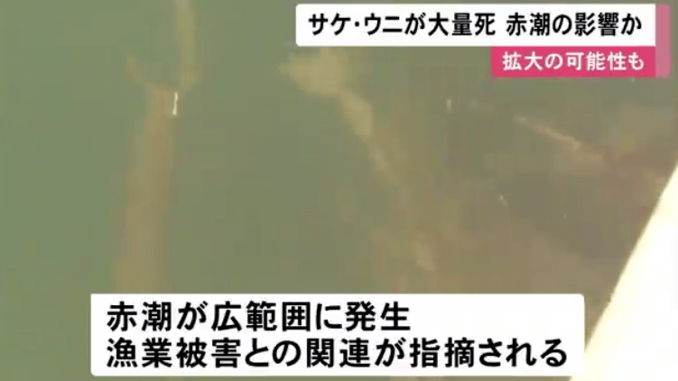 北海道最新新闻,北海道最新新闻报道，北海道最新新闻报道更新速递