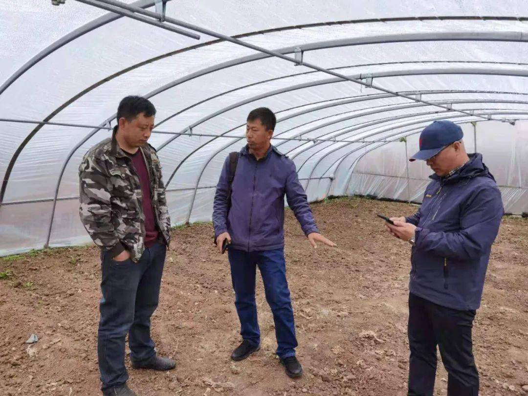 谁能百里挑一最新一期,百里挑一的最新一期，探寻非凡之才的旅程，最新一期百里挑一探寻非凡之才的旅程启动！